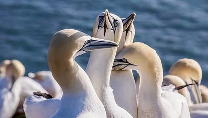 绍兴高价上海医保提取2025的最新政策(2025年绍兴上海医保怎么提取现金分享)