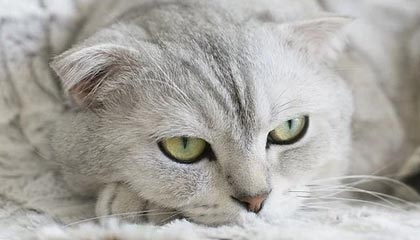 绍兴高价上海医保提取2025的最新政策(2025年绍兴上海医保怎么提取现金分享)