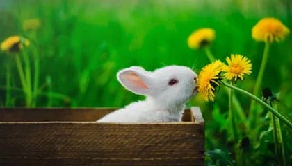 绍兴高价上海医保提取2025的最新政策(2025年绍兴上海医保怎么提取现金分享)